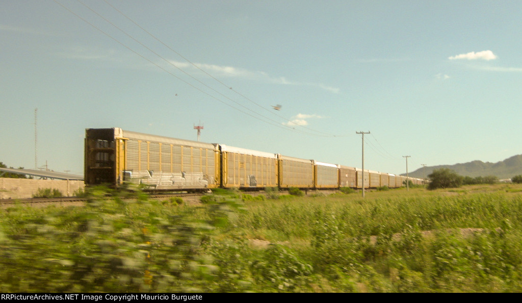 Autoracks in the yard at Ford Hermosillo Assembly plant